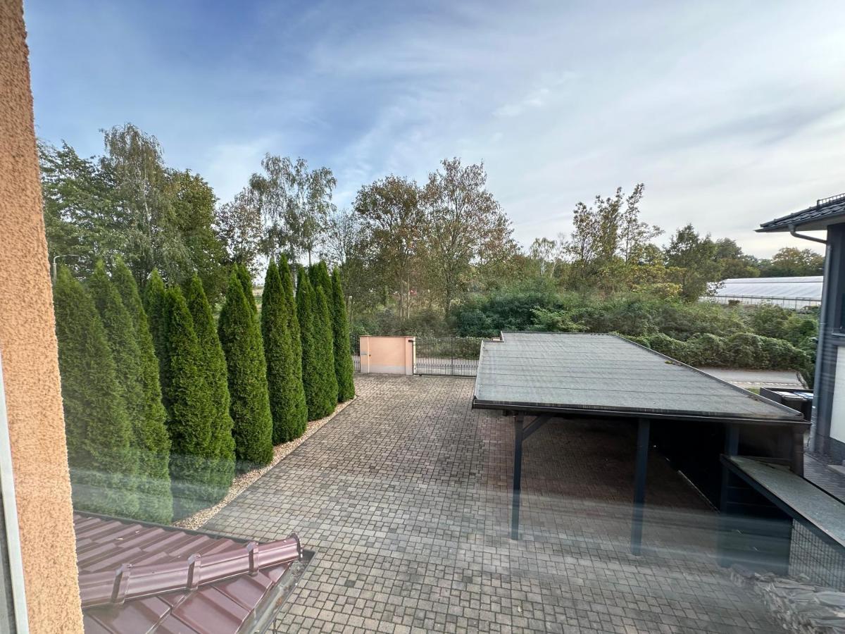 Leipziger Stadtvilla: Geräumig und Zentral mit Garten Exterior photo